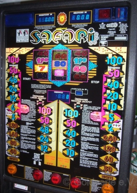 Safari, Goldmint Safari, Goldmint